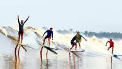 Peselancar Dunia dan Nasional Akan Meramaikan Event  Bono Surfing Kabupaten Pelalawan 2019