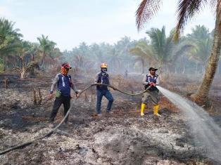 6 Tersangka Karhutla Riau Akan Ditarik ke Polda Riau