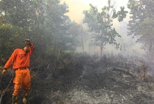 Riau Perpanjang Status Siaga Karhutla