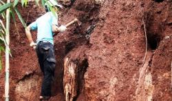 Belasan Tuang Belulang Manusia Muncul di bandung Setelah Longsor