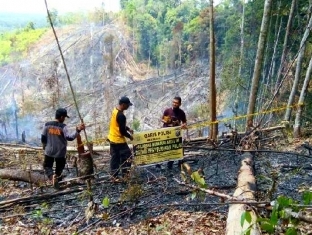 Empat Hektar Lahan Perbukitan di Rohul Terbakar