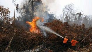 Satgas Karhutla Pelalawan Berjibaku di Pulau Muda