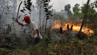 BMKG Deteksi Delapan Titik Panas di Riau