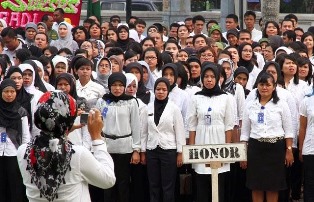 Pengurangan Honorer di Pemkab Pelalawan Diusulkan OPD