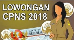 BPK Butus 500 CPNS Untuk 10 Provinsi