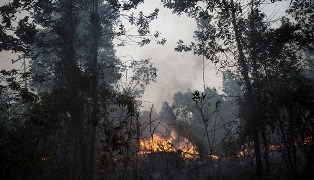 Pagi Ini, BMKG Pantau 51 Hotspot