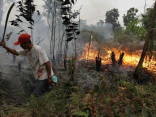 BMKG Pantau Tujuh Titik Panas di Riau