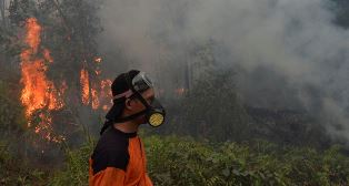 Satelit BMKG Pantau 46 Titik Panas