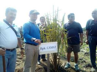 PT IVO MAS Lakukan Program Peremajaan Sawit Rakyat